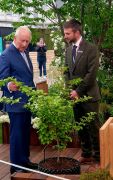His Majesty the King receives rare tree from Majestic Trees 